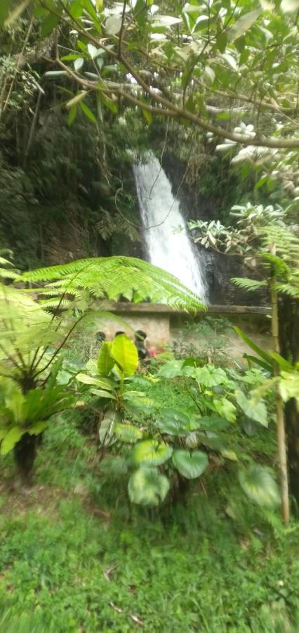 Hidayah Homestay Kelimutu Zewnętrze zdjęcie