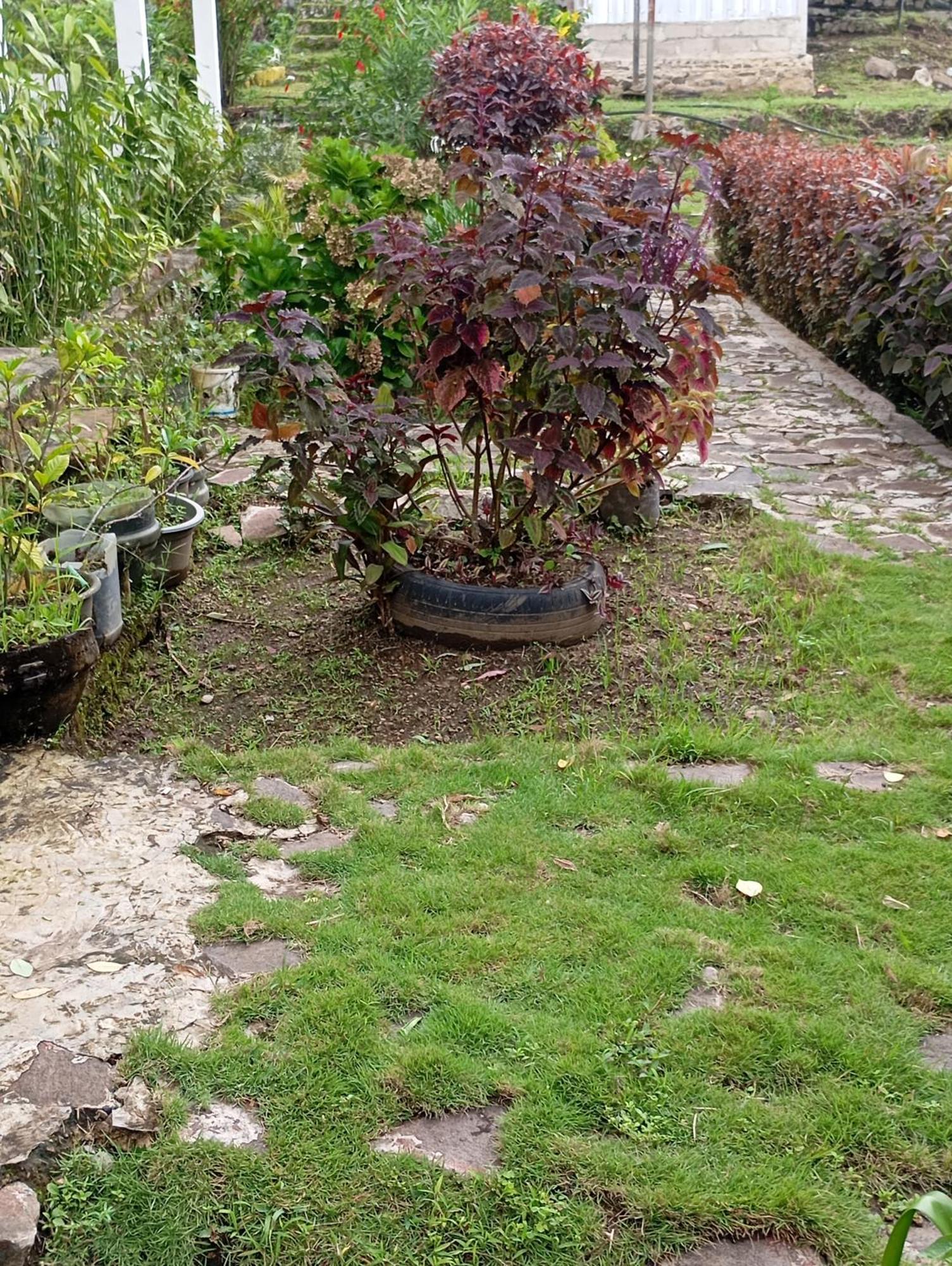 Hidayah Homestay Kelimutu Zewnętrze zdjęcie